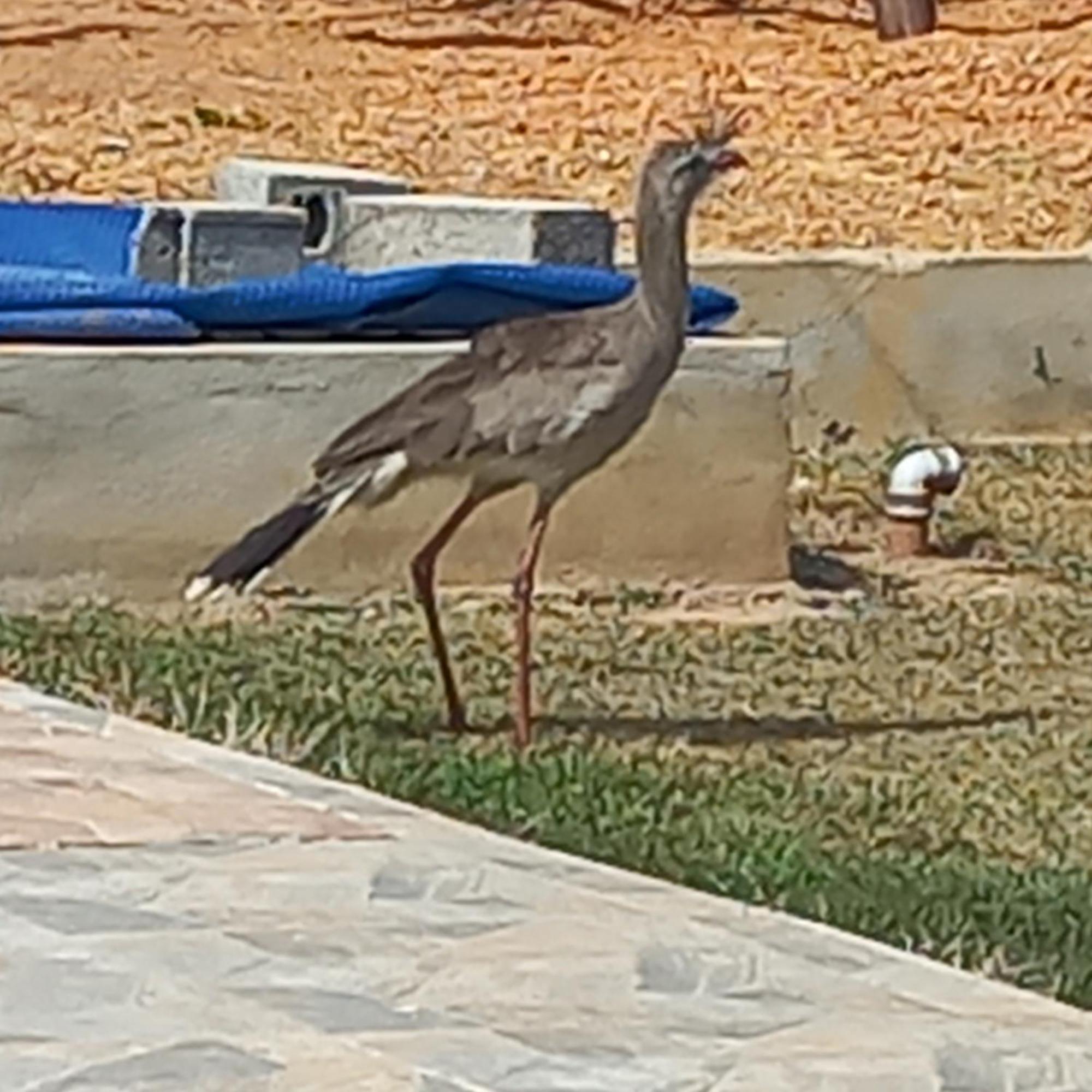 Chacara Cantinho Dos Sonhos Holiday home *